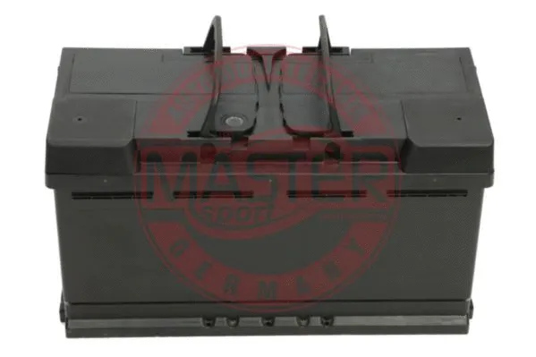 Starter Battery
