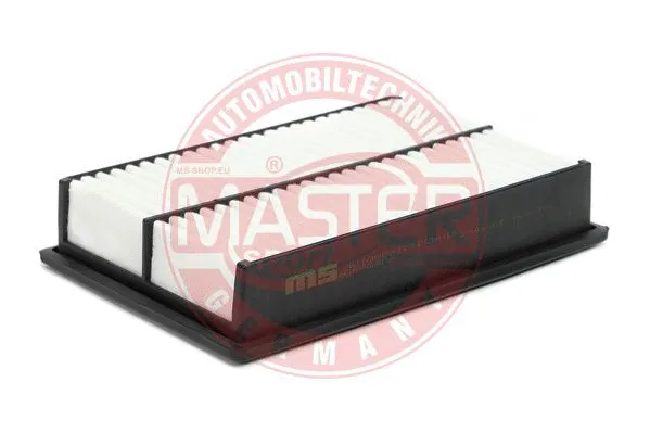 Air Filter (2841-LF-PCS-MS)