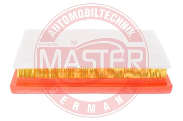 Air Filter (2667/1-LF-PCS-MS)