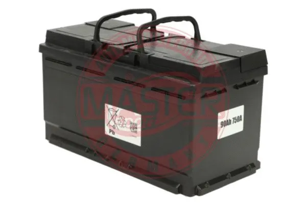 Starter Battery