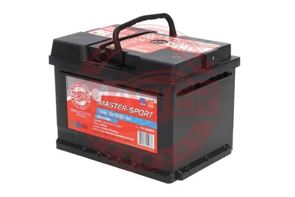 Starter Battery