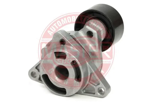 Tensioner Lever, V-ribbed belt