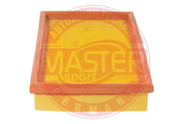 Air Filter (2463-LF-PCS-MS)