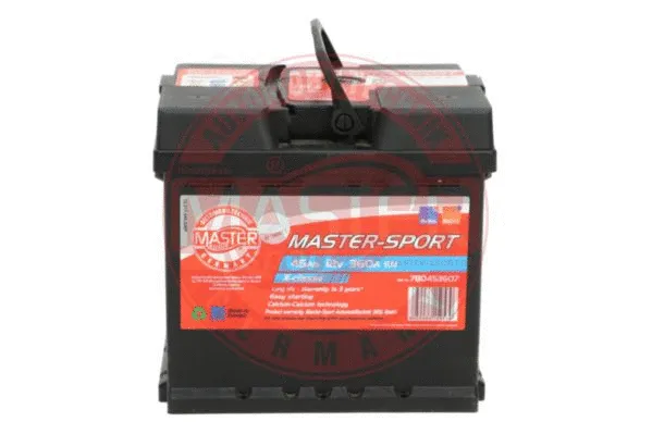 Starter Battery