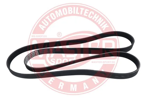 V-Ribbed Belt (6PK1725-PCS-MS)