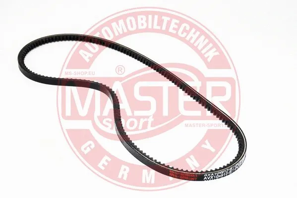 V-Belt (AVX-10X913-PCS-MS)