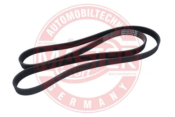 V-Ribbed Belt (6PK1733-PCS-MS)