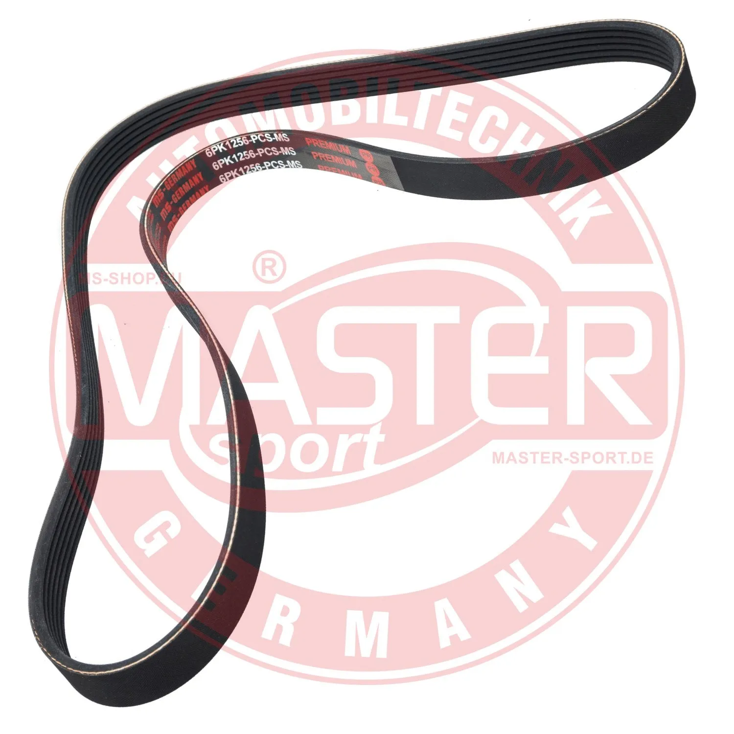 V-Ribbed Belt (6PK1256-PCS-MS)