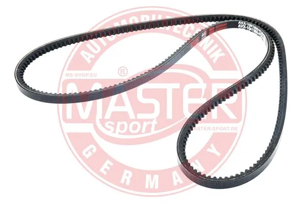 V-Belt (AVX-10X1350-PCS-MS)