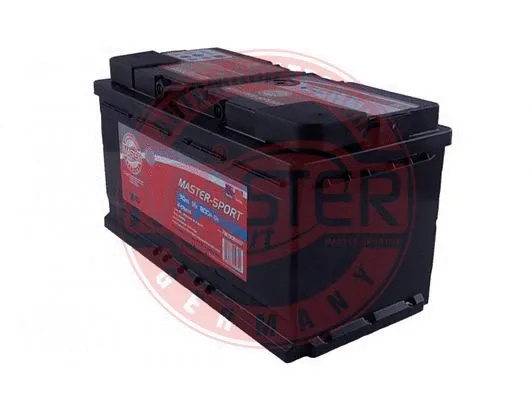 Starter Battery (780908007)
