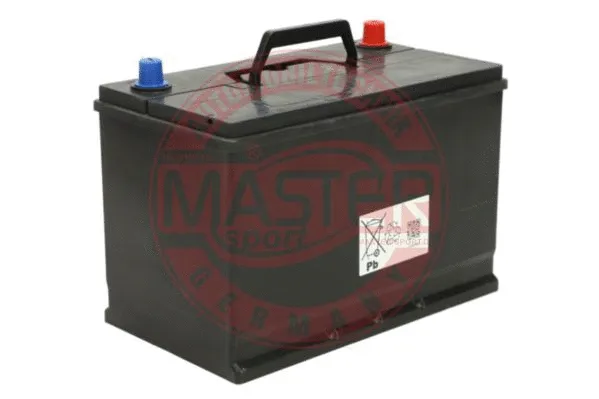 Starter Battery