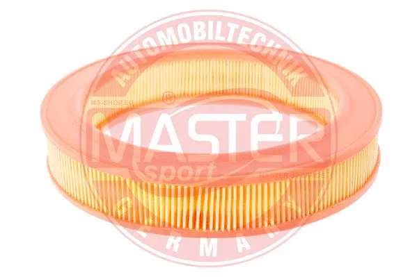 Air Filter (2846-LF-PCS-MS)