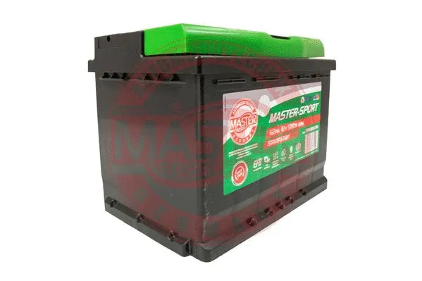 Starter Battery