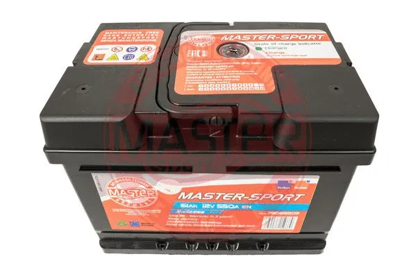 Starter Battery
