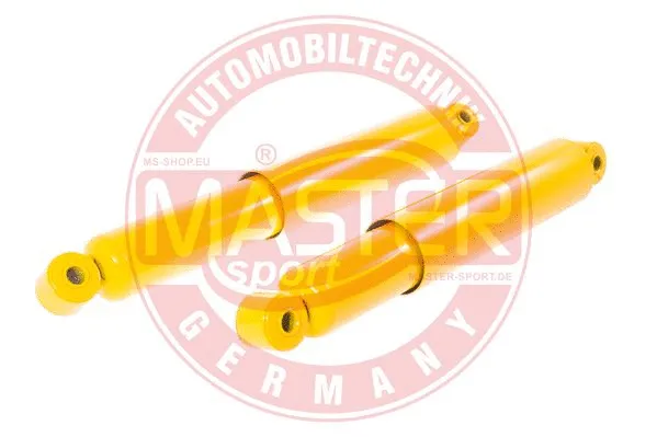 Shock Absorber (246234-SET/2/-MS)