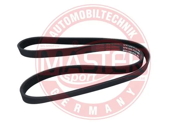 V-Ribbed Belt (6PK1250-PCS-MS)