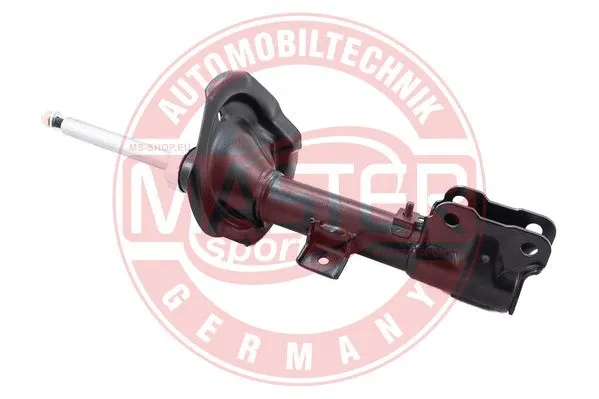 Shock Absorber (313881-PCS-MS)