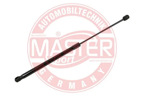 Gas Spring, boot/cargo area (6308024-PCS-MS)
