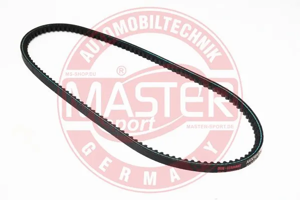 V-Belt (AVX-10X763-PCS-MS)