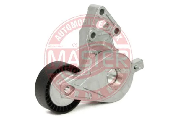 Tensioner Lever, V-ribbed belt
