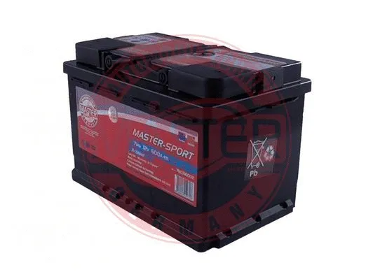 Starter Battery (780716002)