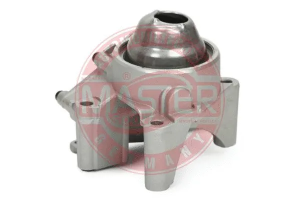 Oil Pump (641146270)