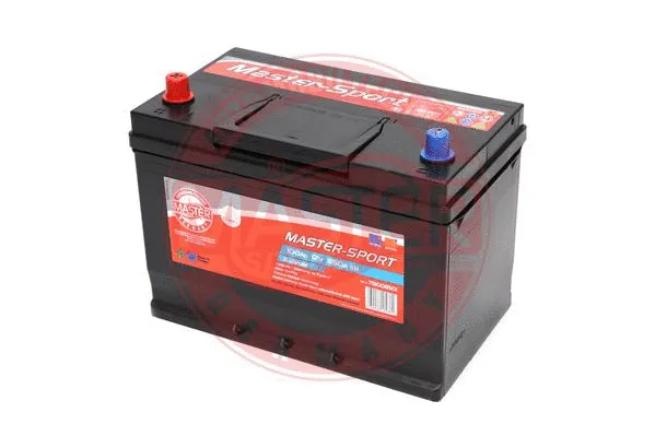 Starter Battery (751008501)