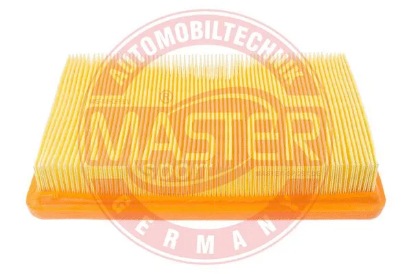 Air Filter (2562-LF-PCS-MS)
