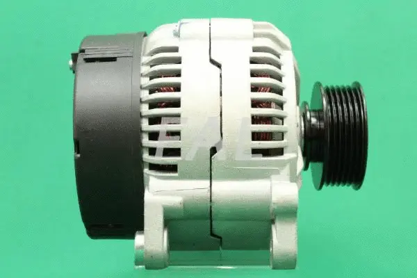 Alternator (F002955/25)