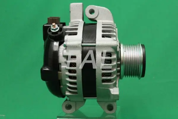 Alternator (F016220/25)