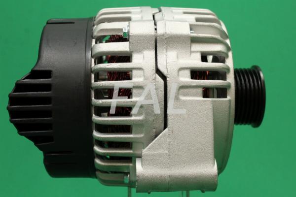 Alternator (F001781/25)