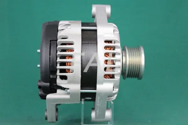 Alternator (F011958/1)