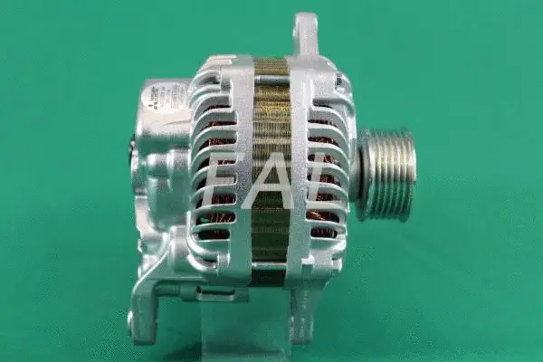 Alternator (F013900/1)