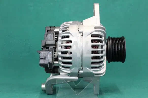 Alternator (F011199/2)