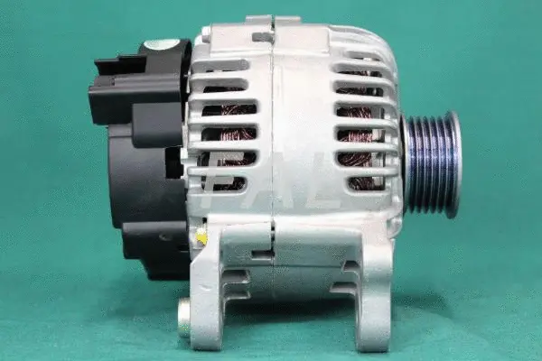 Alternator (F011071/2)