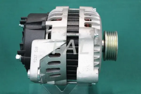 Alternator (F001809/25)