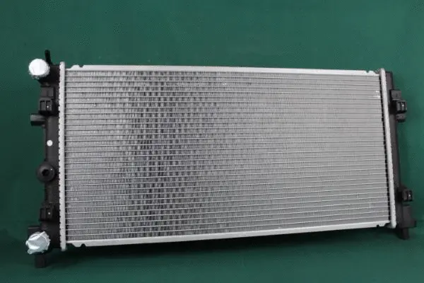 Guide Arm, window cleaning (F013093/25)