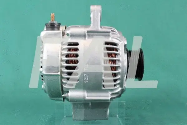 Alternator (F013003/1)