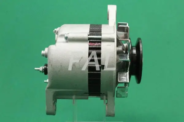 Alternator (F014978/25)