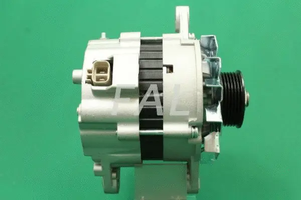 Alternator (F013871/25)