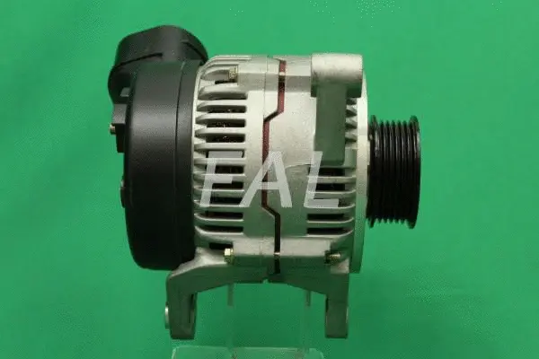 Alternator (F000364/25)