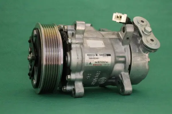 Compressor, air conditioning (F007000/1)