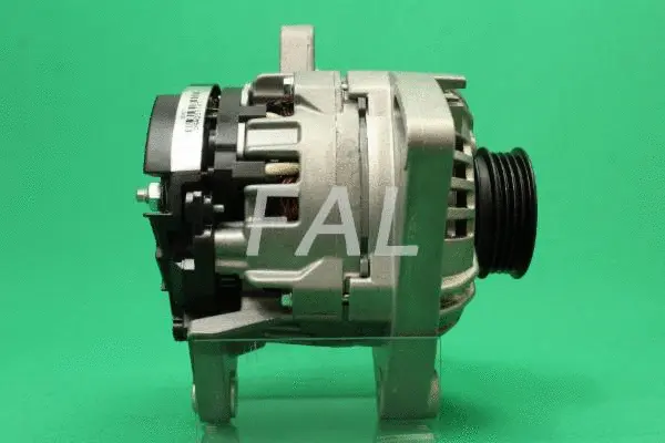 Alternator (F011479/2)