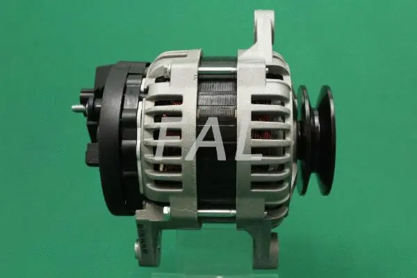 Alternator (F011650/1)
