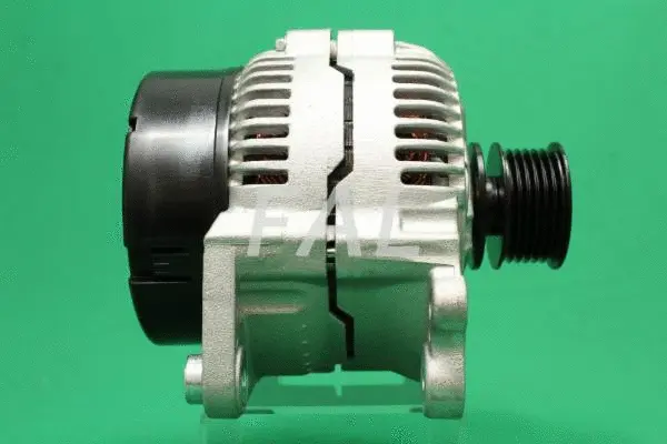 Alternator (F000366/25)