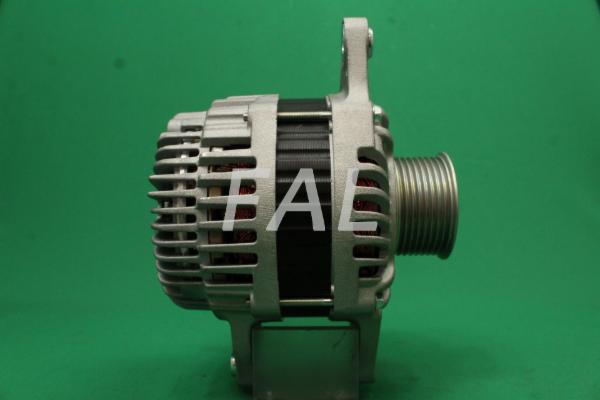 Alternator (F013087/25)
