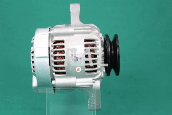 Alternator (F011701/2)