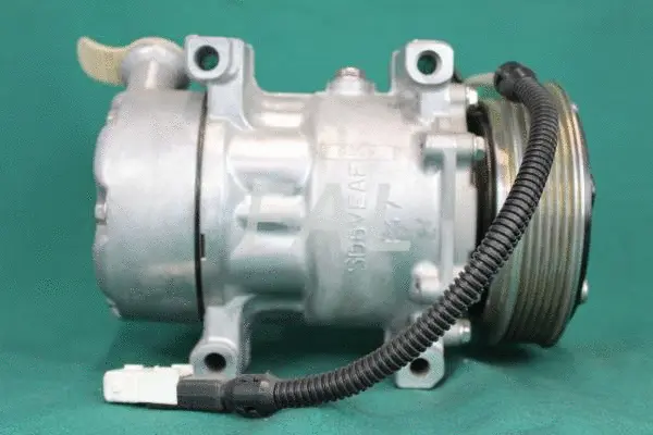 Compressor, air conditioning (F000886/1)