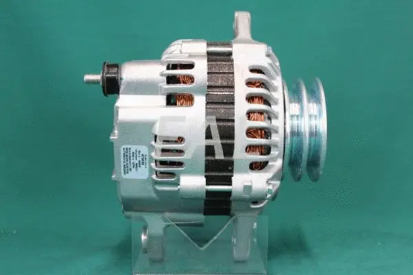 Alternator (F011874/1)