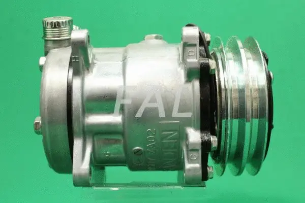 Compressor, air conditioning (F015963/1)